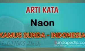 Arti Kata Naon dalam Kamus Bahasa Sunda Online